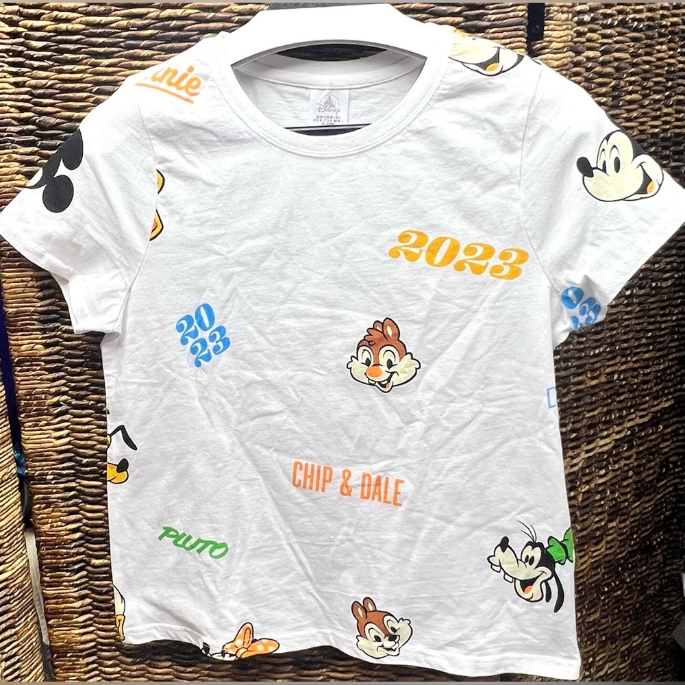 Disney- Parks White Graphic Tee with Chip & Dale and Goofy, 2023, Small